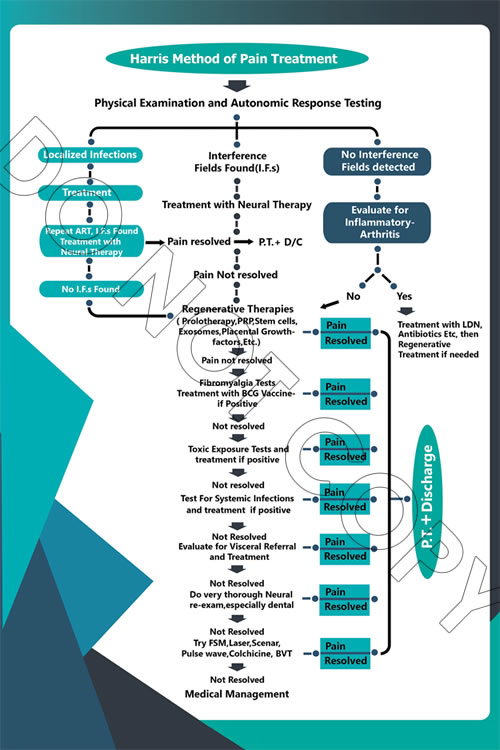 Pain Treatment Book - Structural Medicine